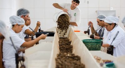 © Marcelo Camargo/Agência Brasil
