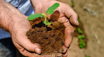 “Floresta e Comunidades: Amazônia viva” destinará 80 milhões do fundo amazonia para incent...