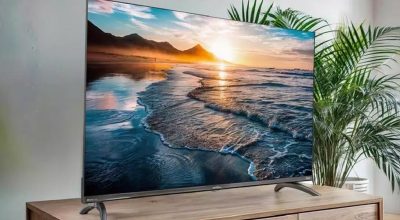 Rodrigo Estevam Barbosa