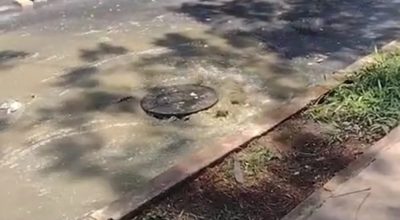 Material cedido ao Metrópoles
