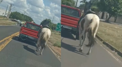 G1