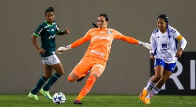 © Divulgação/SE Palmeiras