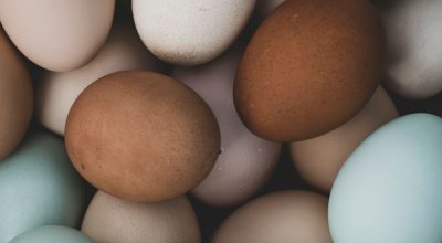   • Katie Bernotsky / Unsplash