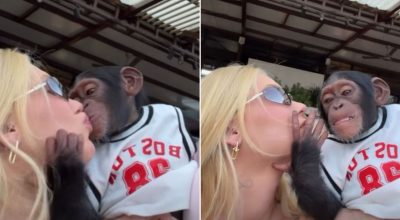 Vídeo de Virginia beijando macaco vira alvo de racismo contra Vini Jr.  • Instagram / Virginia