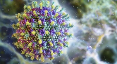 © Ruslanas Baranauskas/Divulgação